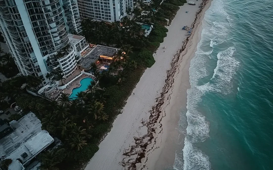 Private Equity and Miami’s Startup Landscape: Investment Trends & Growth
